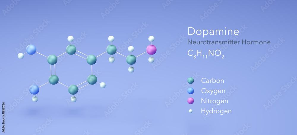 Dopamine, Neurotransmitter Hormone. Structural Chemical Formula and Atoms with Color Coding, 3d rendering Dopamine, Neurotransmitter Hormone. Structural Chemical Formula and Atoms with Color Coding, 3d rendering