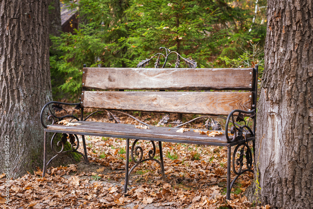 Old bench in the forest between the trees Old bench in the forest between the trees