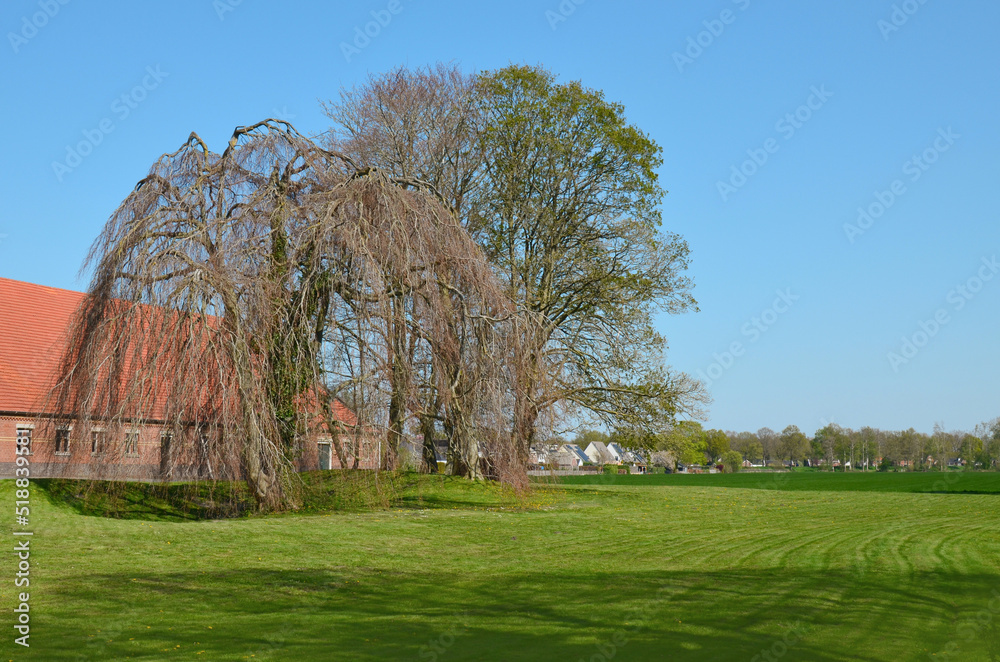 Obraz premium Beautiful green field, trees and buildings on sunny day