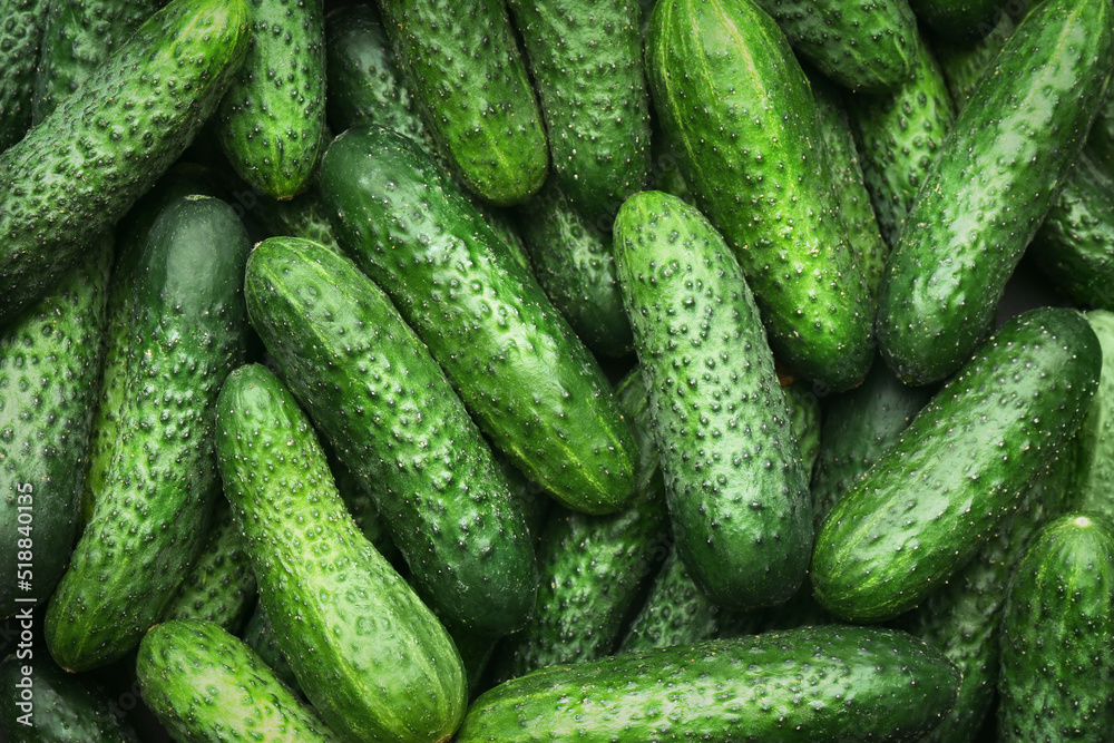 Fresh whole ripe cucumbers as background, top view
