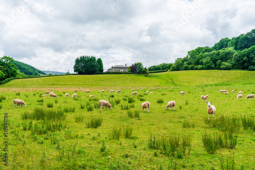Rural landscape in Sennybridge village, Powys, Wales