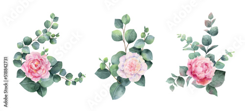 Watercolor vector bouquets of peony flowers and green branches of eucalyptus.
