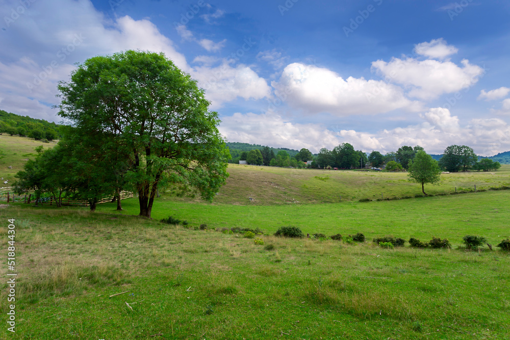 beautiful rural landscape. Summer day. Croatia. beautiful rural landscape. Summer day. Croatia.