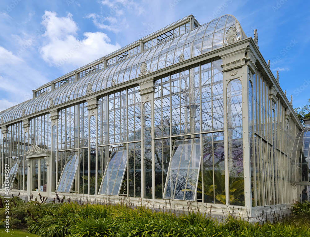 Obraz premium Palm trees growing in huge greenhouse. Exotic thermophilic trees and plants under a roof. Botanical garden