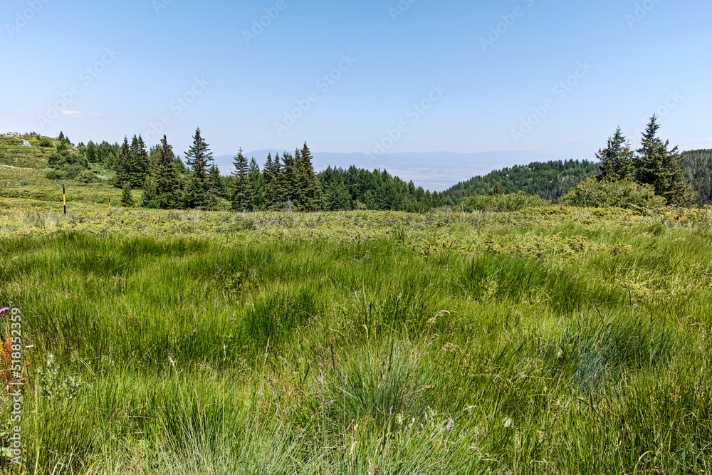 Vitosha Mountain near Kamen Del peak, Bulgaria Vitosha Mountain near Kamen Del peak, Bulgaria