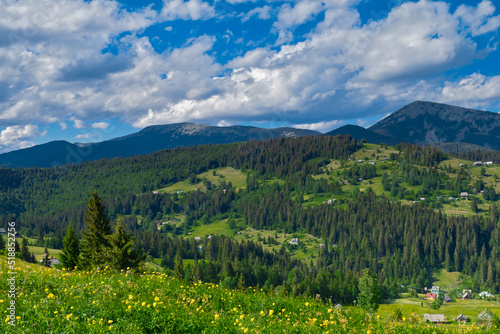 beautiful summer countryside landscape in Carpathian Mountains, Ukraine.