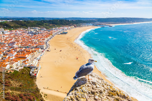Nazare, Portugal: Panorama of the Nazare town and Atlantic Ocean with seagull bird in the foreground, seen from Nazare Sitio hill