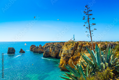 Amazing cliffs above Algarve coastline and agave succulent plant neer Lagos city in Portugal, Europe