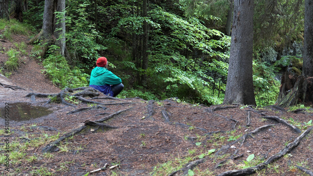Rear view of a young man in red hat and turquoise jacket having a rest while hiking in the spring forest. Stock footage. Man traveler siiting on the ground among trees.