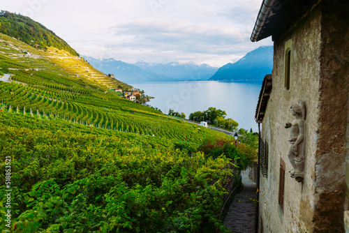 Lavaux, Switzerland: Lake Geneva, green vineyards and old hause on Lavaux vineyard hiking trail in Canton Vaud