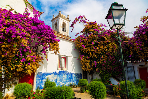 Obraz na płótnie A pink flower of Bougainvillea plant and historical building next to Miradouro de Santa Luzia in Lisbon, Portugal w salonie