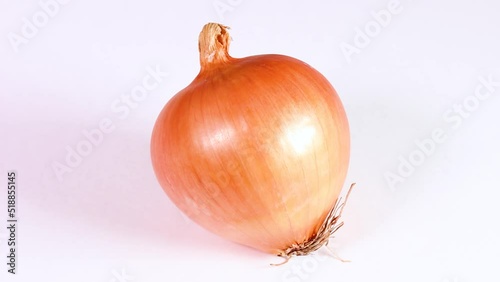 Wallpaper Mural 白背景の玉ねぎ　回転 Torontodigital.ca