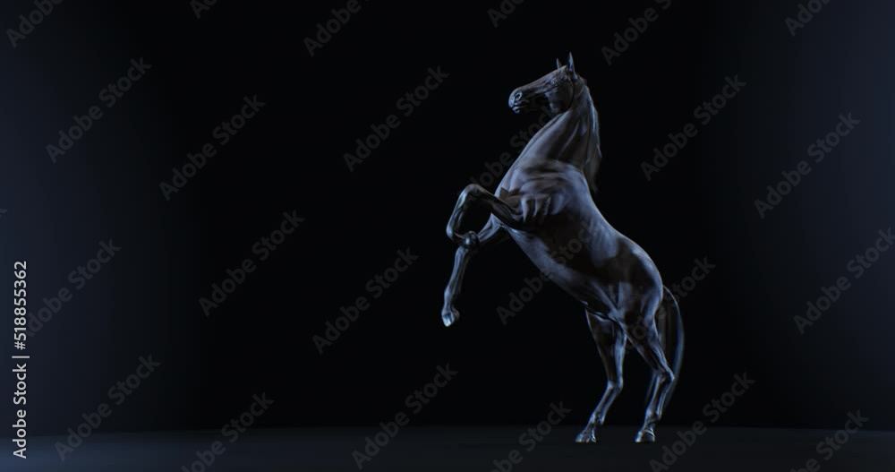 Dark stallion rearing up against black background with side light on ...