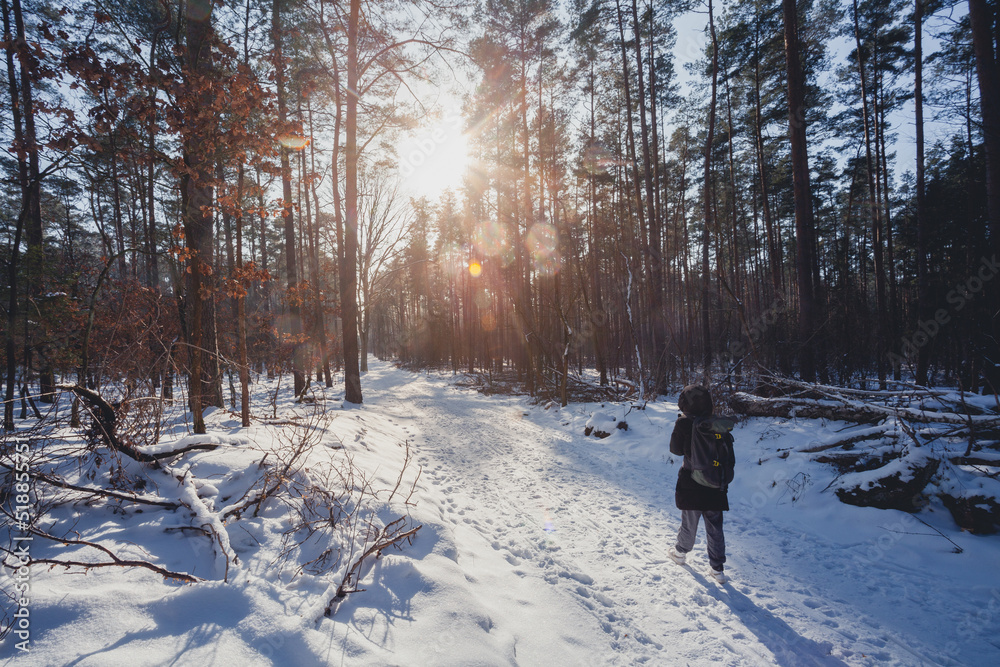 hiker and walker in forest in winter time with snow and ice, wonderful daylight and sun. hiker and walker in forest in winter time with snow and ice, wonderful daylight and sun.