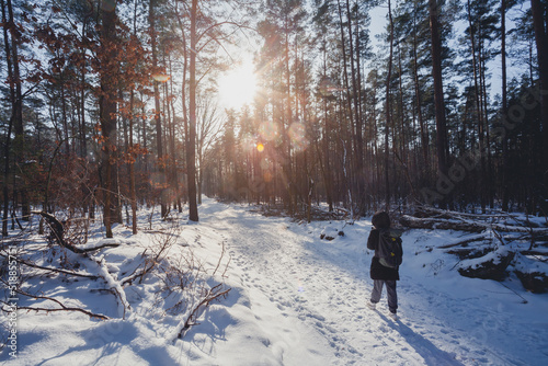 Wallpaper Mural hiker and walker in forest in winter time with snow and ice, wonderful daylight and sun. Torontodigital.ca