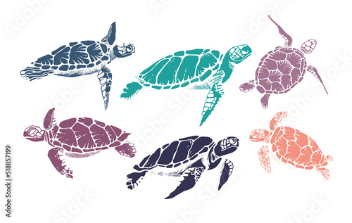 Set of realistic hand drawn vector illustration of sea turtle. photo
