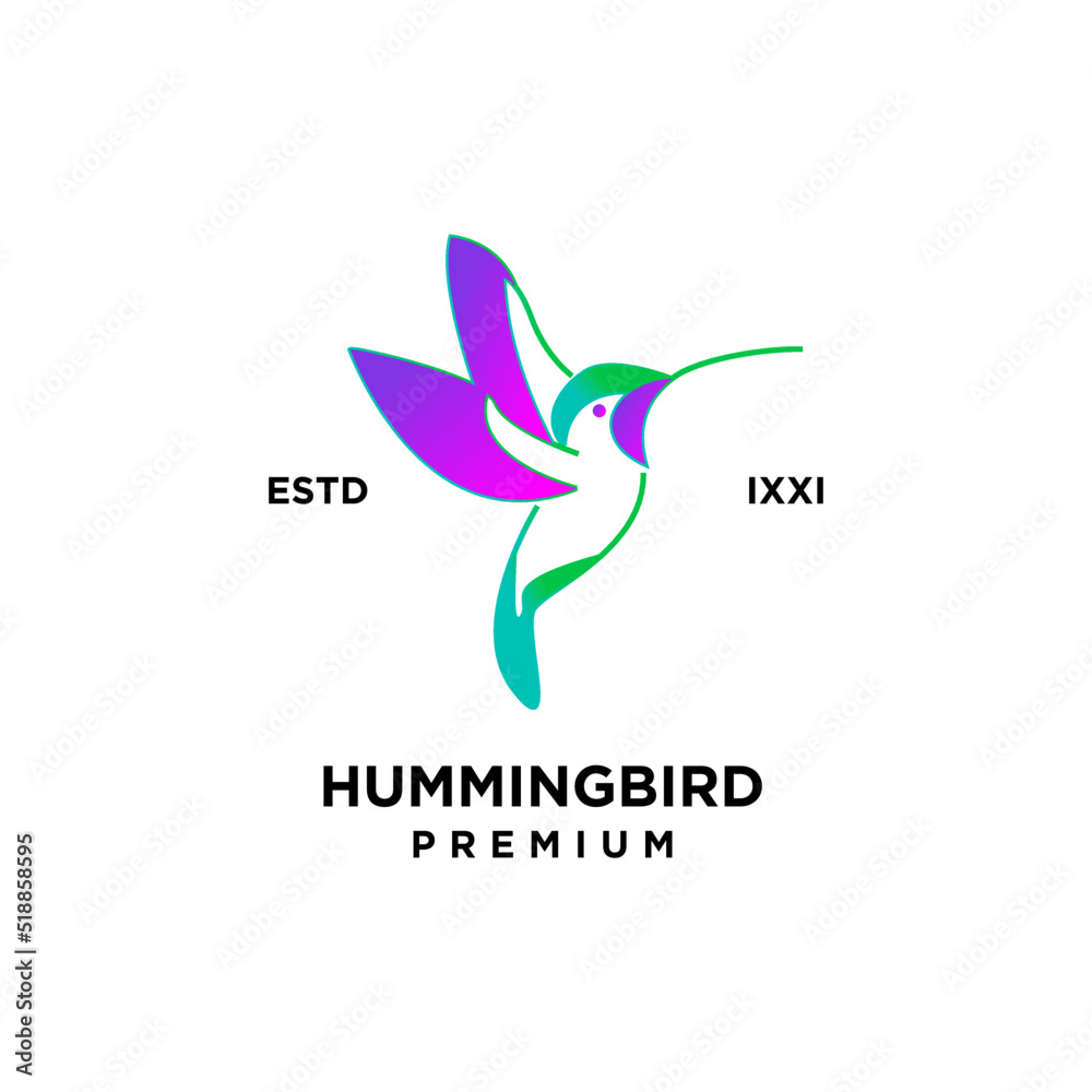 Hummingbird color full logo icon design illustration Hummingbird color full logo icon design illustration