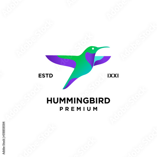 Hummingbird color full logo icon design illustration