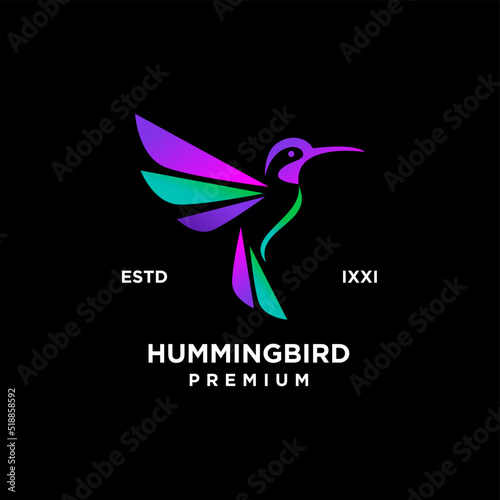 Hummingbird color full logo icon design illustration
