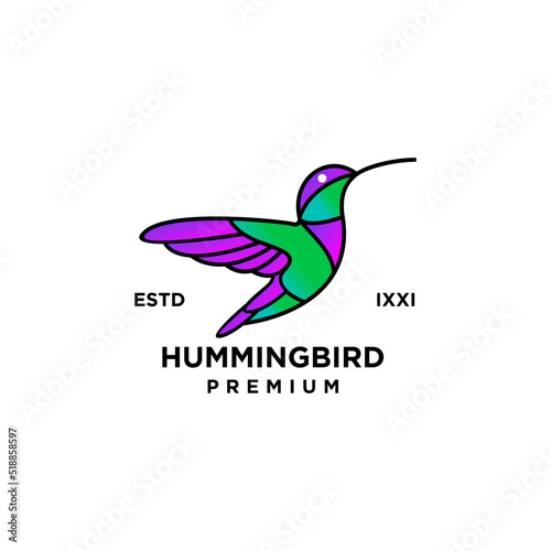 Hummingbird color full logo icon design illustration