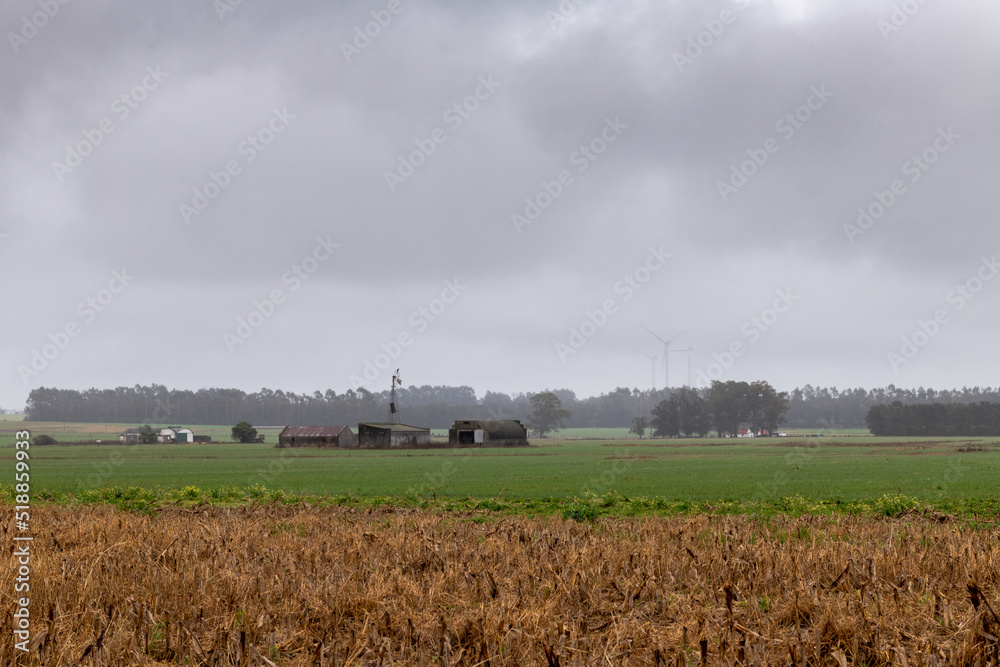Fototapeta premium Tree windmills under a rainy sky in the countryside