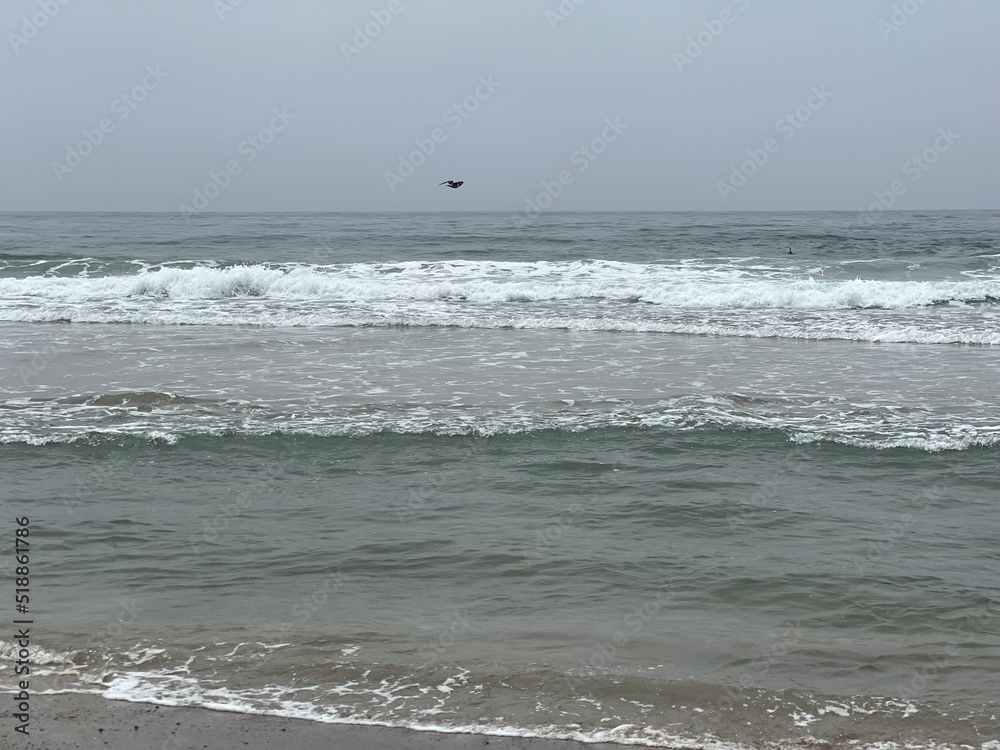 ocean, ocean front, waves, California beaches, California, beach front, surfer, sandy beach, beach, landscape, summer, shore, nature, coast, wave, sea, surf, sand, tide, blue, travel, tropical, water,