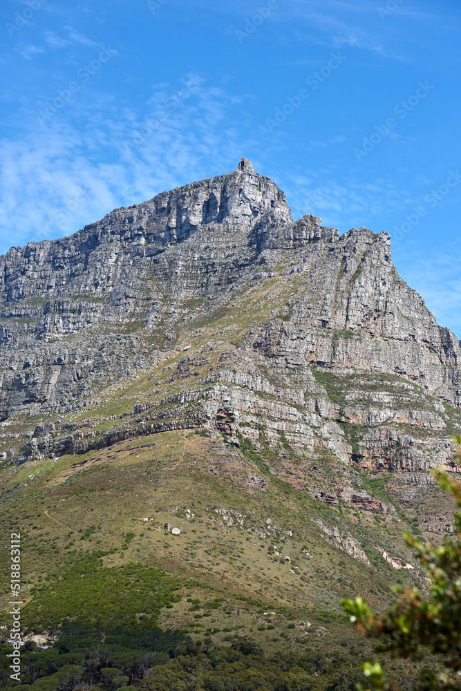 Copy space landscape of Table Mountain in a serene nature reserve and environmental national park with green trees and plants. Rough hiking terrain, blue sky and copyspace in Cape Town, South Africa
