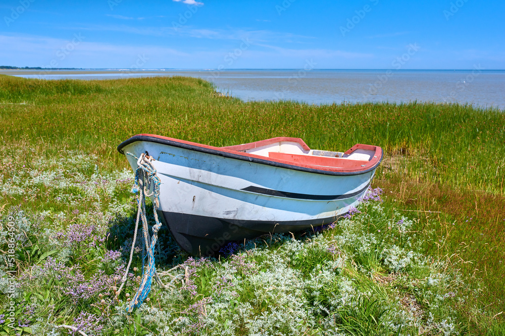 Old abandoned wooden fishing boat in a green grassy meadow with flowers. Still ocean and a cloudy blue sky with copyspace in background. Perfect escape and adventure to a tranquil and remote island Old abandoned wooden fishing boat in a green grassy meadow with flowers. Still ocean and a cloudy blue sky with copyspace in background. Perfect escape and adventure to a tranquil and remote island