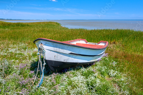 Old abandoned wooden fishing boat in a green grassy meadow with flowers. Still ocean and a cloudy blue sky with copyspace in background. Perfect escape and adventure to a tranquil and remote island
