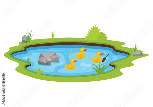 Three yellow ducks swimming in the pond vector illustration. Duck cartoon character