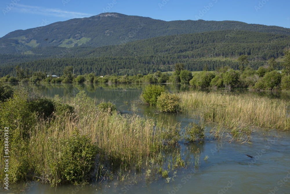 Columbia River at Brisco in British Columbia,Canada,North America
Columbia River at Brisco in British Columbia,Canada,North America