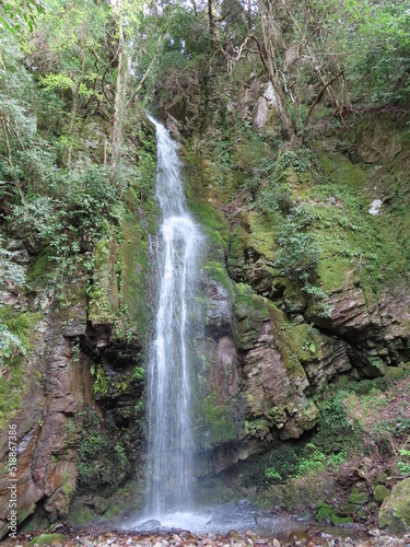 waterfall in the forest