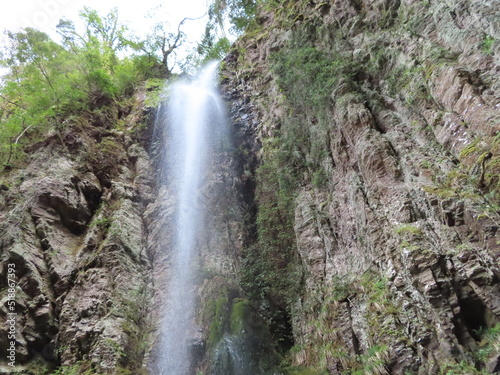 waterfall in the forest