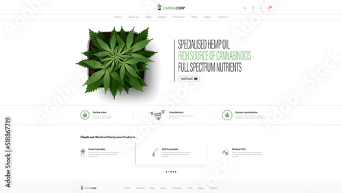 Website design template and interface elements, cannabis store