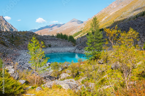 Pure turquoise alpine lake among lush autumn vegetation with view to large mountains in sunlight. Beautiful glacial lake against sunlit pyramid shaped mountain. Vivid autumn colors in high mountains.