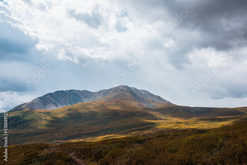 Scenic motley autumn landscape with sunlit mountain top under gray dramatic cloudy sky. Vivid autumn colors in mountains. Multicolor high hill in sunlight with shadows of clouds in changeable weather.