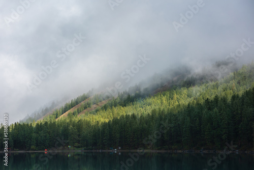 Tranquil misty meditative scenery of glacial lake with forest hill under thick low clouds. Coniferous trees on hillside reflected in calm alpine lake. Mountain lake and dense fog at early morning.