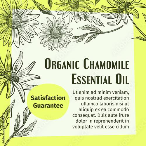 Organic chamomile essential oil, promo banner