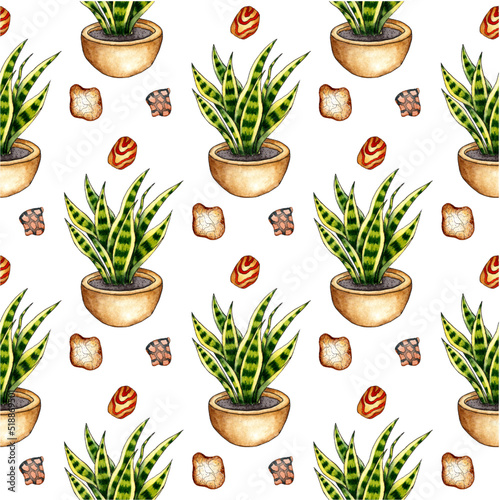Watercolor illustration pattern motley grass in a pot and stones. It's perfect for postcards, posters, banners, invitations, greeting cards, prints. Isolated on white background. drawn by hand.