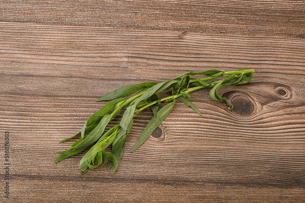 Green tarragon herb spice for cooking Green tarragon herb spice for cooking
