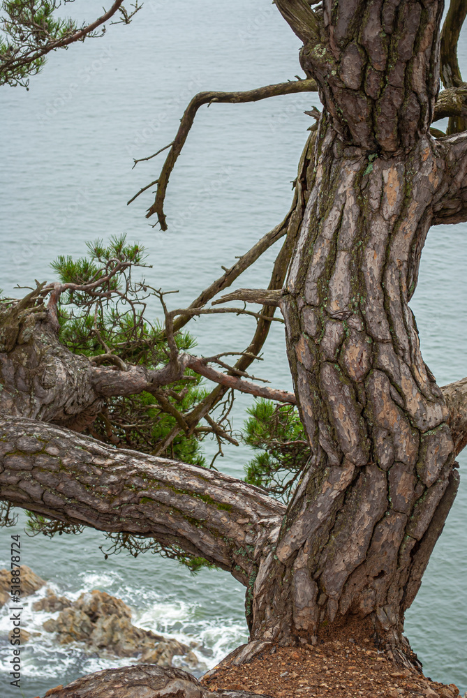 Selective focus. Beautiful sea view. Rest on the sea. Selective focus. Beautiful sea view. Rest on the sea.