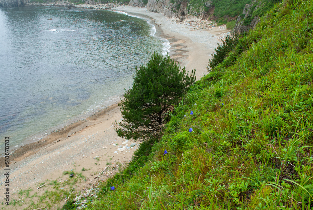 Blurred background. Seascape. Cape pine.