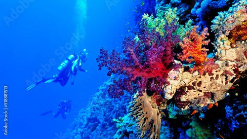 Underwater photo of a drop off wall with colorful soft corals. From a scuba dive in the Red sea in Egypt.