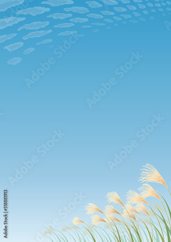 秋の空 うろこ雲とススキの背景 タテ