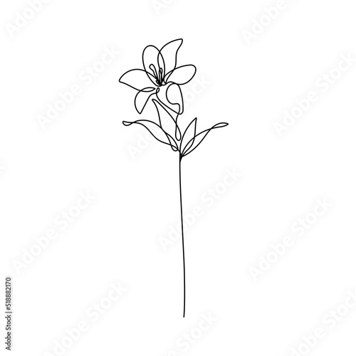 Flower Line Art Drawing. Flower Silhouette Black Sketch on White Background. Beautiful Plant Line Drawing. Floral Minimalistic Vector Illustration.