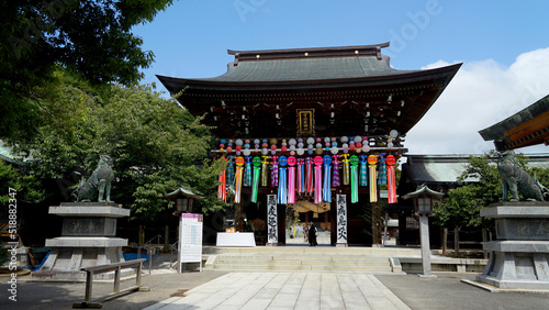 宮地嶽神社 光の道 風景