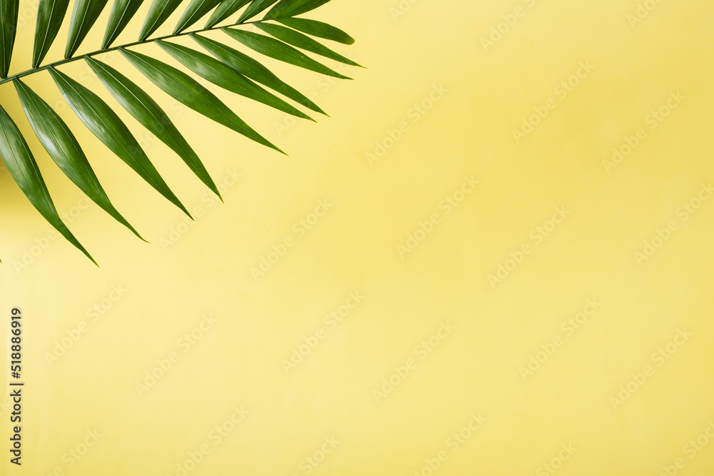 Tropical green palm leaf on a yellow background. Copy space. Summer backdrop Tropical green palm leaf on a yellow background. Copy space. Summer backdrop