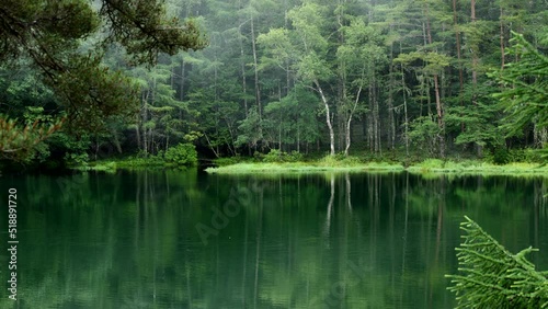 新緑の湖畔の風景　長野県御射鹿池　7月