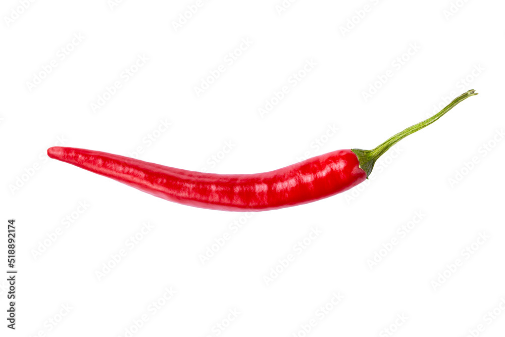 Single chili pepper isolated on white background. Chili hot pepper whole.
