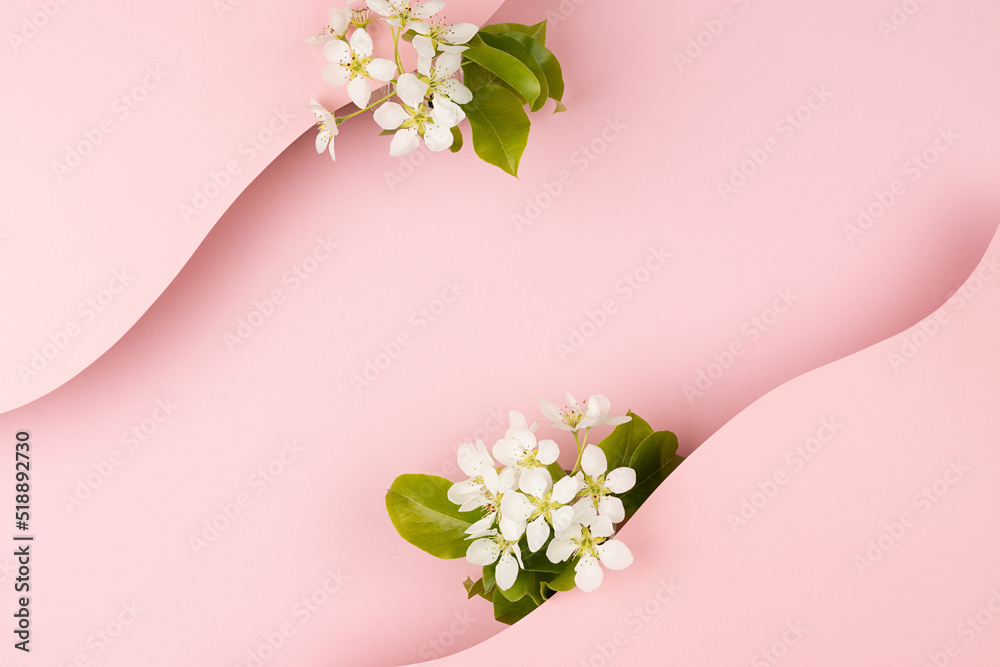Wedding floral pink background with white apple tree flowers, paper blank stripes as wave for text mockup on pastel pink background for advertising, branding identity, greeting card, design.